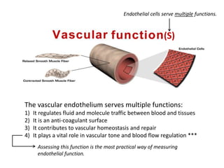 (S)
The vascular endothelium serves multiple functions:
1) It regulates fluid and molecule traffic between blood and tissues
2) It is an anti-coagulant surface
3) It contributes to vascular homeostasis and repair
4) It plays a vital role in vascular tone and blood flow regulation ***
Endothelial cells serve multiple functions.
Assessing this function is the most practical way of measuring
endothelial function.
 