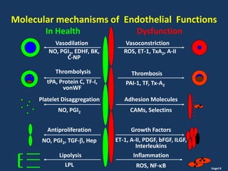 Molecular mechanisms of Endothelial Functions
In Health Dysfunction
Vasodilation Vasoconstriction
NO, PGI2, EDHF, BK,
C-NP
ROS, ET-1, TxA2, A-II
Thrombolysis Thrombosis
Platelet Disaggregation
NO, PGI2
Adhesion Molecules
CAMs, Selectins
Antiproliferation
NO, PGI2, TGF-, Hep
Growth Factors
ET-1, A-II, PDGF, bFGF, ILGF,
Interleukins
Lipolysis Inflammation
ROS, NF-B
PAI-1, TF, Tx-A2
tPA, Protein C, TF-I,
vonWF
LPL Vogel R
 