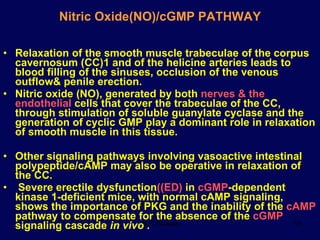 Nitric Oxide(NO)/cGMP PATHWAY Relaxation of the smooth muscle trabeculae of the corpus cavernosum (CC)1 and of the helicine arteries leads to blood filling of the sinuses, occlusion of the venous outflow& penile erection.  Nitric oxide (NO), generated by both  nerves & the endothelial  cells that cover the trabeculae of the CC, through stimulation of soluble guanylate cyclase and the generation of cyclic GMP play a dominant role in relaxation of smooth muscle in this tissue.  Other signaling pathways involving vasoactive intestinal polypeptide/cAMP may also be operative in relaxation of the CC. Severe erectile dysfunction ((ED)  in  cGMP -dependent kinase 1-deficient mice, with normal cAMP signaling, shows the importance of PKG and the inability of the  cAMP  pathway to compensate for the absence of the  cGMP  signaling cascade  in vivo  . 