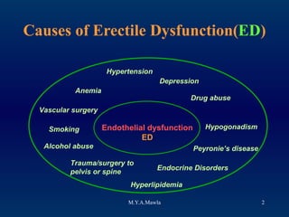 Causes of Erectile Dysfunction( ED ) Endothelial dysfunction ED Smoking Hypogonadism Endocrine Disorders Hypertension Hyperlipidemia Alcohol abuse Drug abuse Anemia Trauma/surgery to pelvis or spine Peyronie’s disease Vascular surgery Depression 