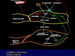 (L-NMMA) =   N(G)-mono-methyl-L-arginine (L-NMMA) = N(G)-mono-methyl-L-arginine 