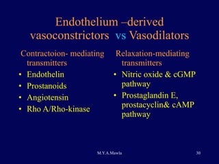 Endothelium –derived vasoconstrictors  vs  Vasodilators Contractoion- mediating transmitters Endothelin Prostanoids Angiotensin Rho A/Rho-kinase Relaxation-mediating transmitters Nitric oxide & cGMP pathway Prostaglandin E, prostacyclin& cAMP pathway 