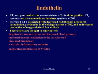 Endothelin ET A  receptor  mediate the  vasoconstrictor effects  of the peptide,  ET B  receptors  on the endothelium stimulates  synthesis of NO Increased ET-1  associated with decreased endothelium-dependent vasodilation, a reduction in the biologic actions of NO, and an increased production of oxygen-derived free radicals These effects are thought to contribute to  heightened vasoconstriction and increased blood pressure  increased monocyte adhesion to the vascular wall increased thrombosis a vascular inflammatory response augmented proliferation of VSMCs   