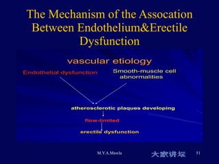 The Mechanism of the Assocation Between Endothelium&Erectile Dysfunction 