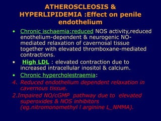ATHEROSCLEOSIS & HYPERLIPIDEMIA :Effect on penile endothelium Chronic ischaemia:reduced  NOS activity,reduced enothelium-dependent & neurogenic NO-mediated relaxation of cavernosal tissue together with elevated thromboxane-mediated contractions. High LDL  : elevated contraction due to increased intracellular inositol & calcium. Chronic hypercholestraemia : Reduced endothelium dependent relaxation in cavernous tissue. 2.Impaired NO/cGMP  pathway due to  elevated superoxides & NOS inhibitors (eg.nitromonomethyl l arginine L_NMMA). 
