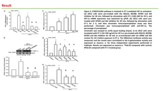 Result
Figure 6. ETAR/ILK/Akt pathway is involved in ET-1-mediated HIF-1a activation.
(a) JJ012 cells were pre-treated with the BQ123, BQ788, KP392 and Akt
inhibitor for 30 min, followed by stimulation with ET-1 (100 nM) for 24 h, and
HIF-1a mRNA expression was examined by qPCR. (b) JJ012 cells were pre-
treated with KP392 and Akt inhibitor for 30 min, followed by stimulation with
ET-1 for 2 h, and then chromatin immunoprecipitation assay was then
performed. Chromatin was immunoprecipitated with anti-HIF-1a. The
percentage of precipitated
chromatin was assayed to verify equal loading (input). (c–e) JJ012 cells were
incubated with ET-1 (10–100 ng/ml) for 24 h or pre-treated with BQ123, BQ788,
KP392 and Akt inhibitor for 30 min or co-transfected with ILK siRNA and Akt
mutant for 24 h before exposure to ET-1. The HREdriven luciferase activity was
measured, and the results were normalized to the b-galactosidase activity and
expressed as mean±s. e. for three independent experiments performed in
triplicate. Results are expressed as mean±s.e. *Po0.05 compared with control;
#Po0.05 compared with ET-1-treated group
 