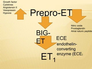 Prepro-ET
BIG-
ET
ET1
ECE
endothelin-
converting
enzyme (ECE)
Growth factor
Cytokines
Angiotensin II
Vesopressin
Hypoxia
Nitric oxide
Prostaglandin
Atrial naturic peptide
 