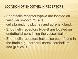  Endothelin receptor type-A are located on
vascular smooth muscle
cells,brain,lungs,kidney and adrenal gland.
 Endothelin receptors type-B are located on
endothelial cells lining the vessel wall.
 Endothelin receptors have also been found in
the brain,e.g:- cerebral cortex,cerebellum
and glial cells.
LOCATION OF ENDOTHELIN RECEPTORS
 