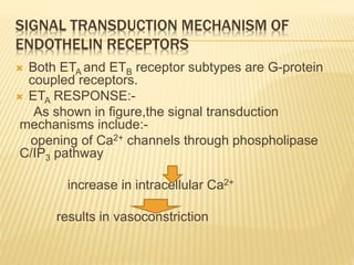  Both ETA and ETB receptor subtypes are G-protein
coupled receptors.
 ETA RESPONSE:-
As shown in figure,the signal transduction
mechanisms include:-
opening of Ca2+ channels through phospholipase
C/IP3 pathway
increase in intracellular Ca2+
results in vasoconstriction
SIGNAL TRANSDUCTION MECHANISM OF
ENDOTHELIN RECEPTORS
 