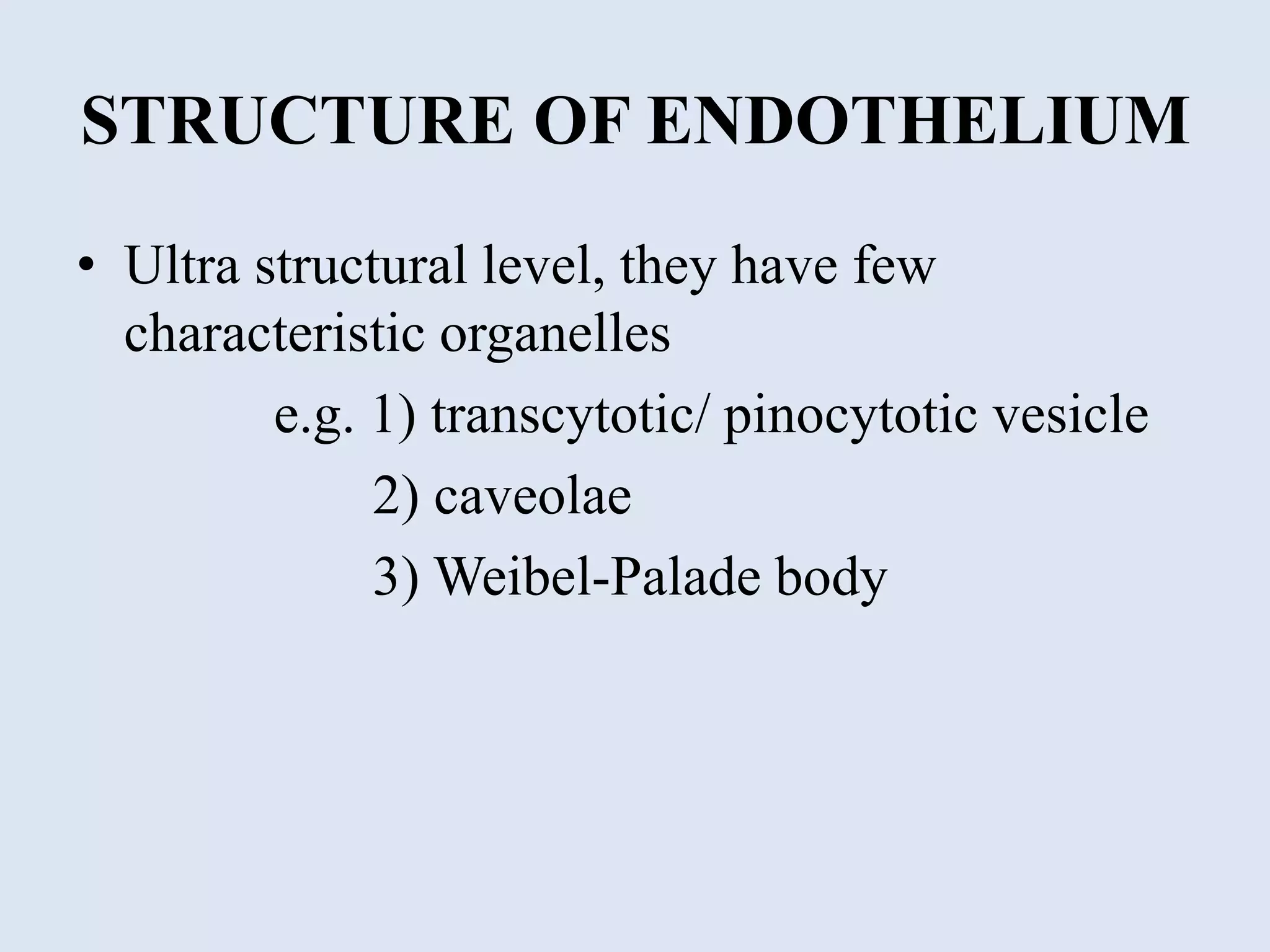 Endothelium in health and diseases | PPTX