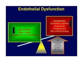 Endothelium in health and diseases | PPTX