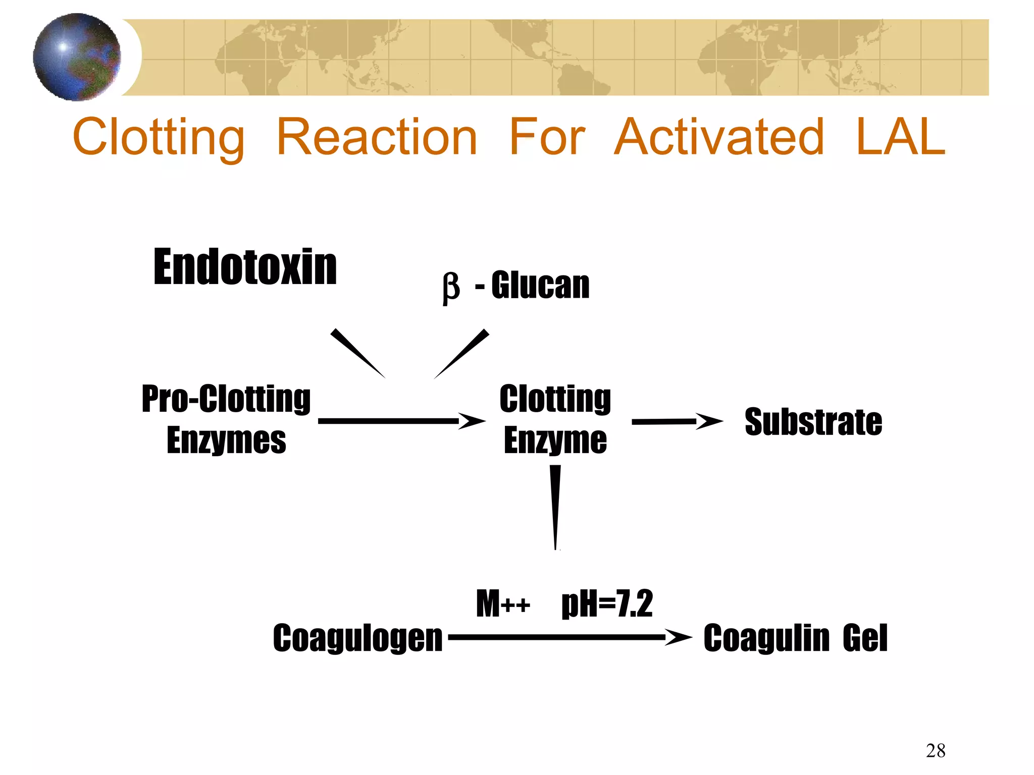 28
Clotting Reaction For Activated LAL
Endotoxin β - Glucan
Pro-Clotting
Enzymes
Clotting
Enzyme
Substrate
Coagulogen Coagulin Gel
M++ pH=7.2
 
