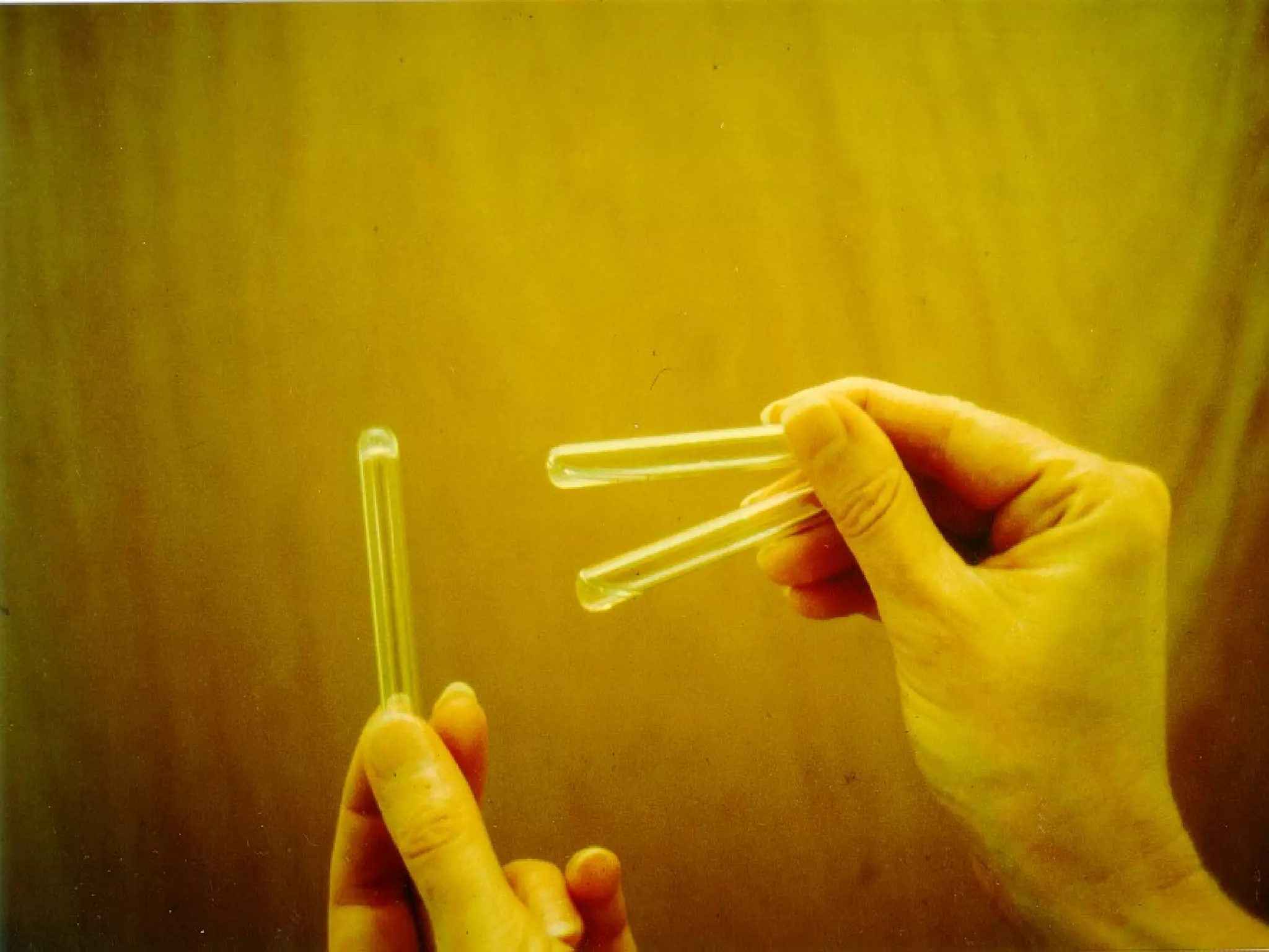 August 25, 2003 Woo Jung BSC, Inc. 31
 