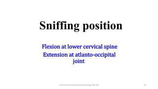 Sniffing position
Flexion at lower cervical spine
Extension at atlanto-occipital
joint
endotracheal intubation/anesthesiology/184-244 30
 