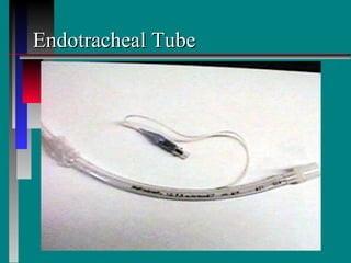 Endotracheal Tube 