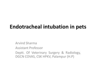 Endotracheal intubation in pets
Arvind Sharma
Assistant Professor
Deptt. Of Veterinary Surgery & Radiology,
DGCN COVAS, CSK HPKV, Palampur (H.P)
 