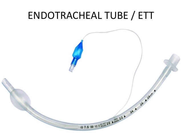 endotracheal tube