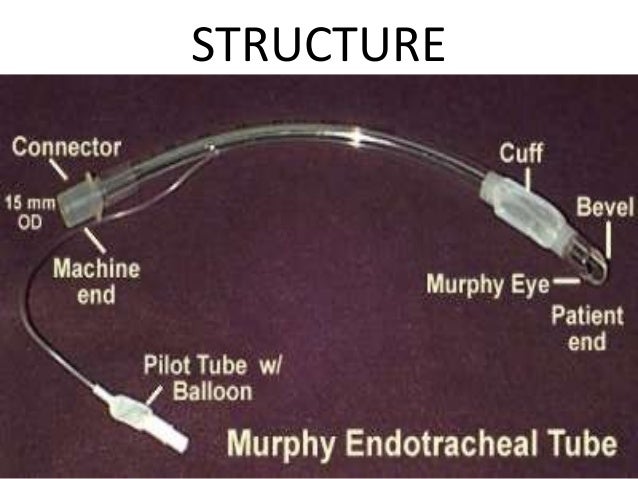 endotracheal tube