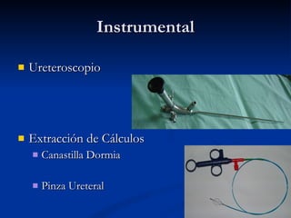 Instrumental Ureteroscopio Extracción de Cálculos Canastilla Dormia Pinza Ureteral 