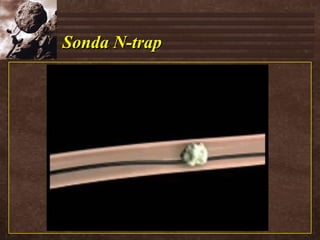Sonda N-trap 