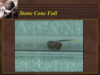 Stone Cone Full 