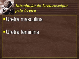 Introdução do Ureteroscópio pela Uretra Uretra masculina Uretra feminina 
