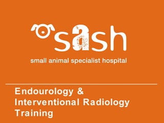 Endourology &
Interventional Radiology
Training
 