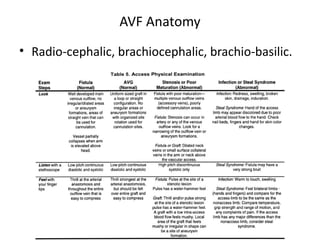 AVF Anatomy
• Radio-cephalic, brachiocephalic, brachio-basilic.
 