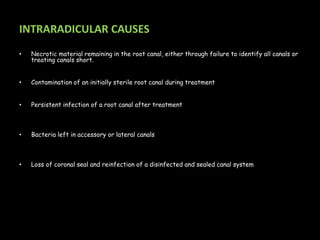 INTRARADICULAR CAUSES
• Necrotic material remaining in the root canal, either through failure to identify all canals or
treating canals short.
• Contamination of an initially sterile root canal during treatment
• Persistent infection of a root canal after treatment
• Bacteria left in accessory or lateral canals
• Loss of coronal seal and reinfection of a disinfected and sealed canal system
 