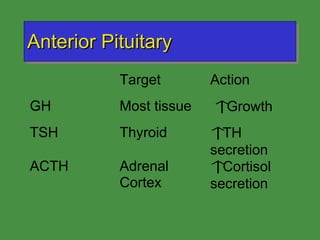 Anterior Pituitary 