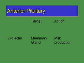 Anterior Pituitary 