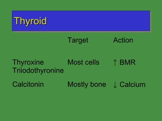 Thyroid  