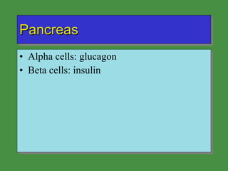 Pancreas Alpha cells: glucagon Beta cells: insulin 