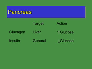 Pancreas 
