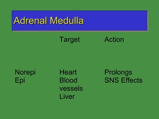 Adrenal Medulla 