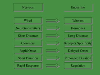 Nervous Endocrine Neurotransmitters Hormones Short Distance Long Distance Closeness Receptor Specificity Rapid Onset Delayed Onset Short Duration Prolonged Duration 