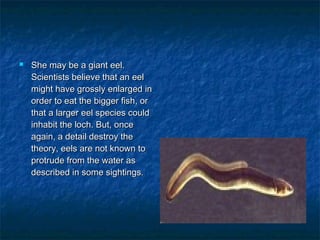  She may bbee aa ggiiaanntt eeeell.. 
SScciieennttiissttss bbeelliieevvee tthhaatt aann eeeell 
mmiigghhtt hhaavvee ggrroossssllyy eennllaarrggeedd iinn 
oorrddeerr ttoo eeaatt tthhee bbiiggggeerr ffiisshh,, oorr 
tthhaatt aa llaarrggeerr eeeell ssppeecciieess ccoouulldd 
iinnhhaabbiitt tthhee lloocchh.. BBuutt,, oonnccee 
aaggaaiinn,, aa ddeettaaiill ddeessttrrooyy tthhee 
tthheeoorryy,, eeeellss aarree nnoott kknnoowwnn ttoo 
pprroottrruuddee ffrroomm tthhee wwaatteerr aass 
ddeessccrriibbeedd iinn ssoommee ssiigghhttiinnggss.. 
 