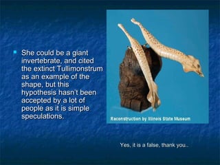 YYeess,, iitt iiss aa ffaallssee,, tthhaannkk yyoouu.... 
 SShhee ccoouulldd bbee aa ggiiaanntt 
iinnvveerrtteebbrraattee,, aanndd cciitteedd 
tthhee eexxttiinncctt TTuulllliimmoonnssttrruumm 
aass aann eexxaammppllee ooff tthhee 
sshhaappee,, bbuutt tthhiiss 
hhyyppootthheessiiss hhaassnn’’tt bbeeeenn 
aacccceepptteedd bbyy aa lloott ooff 
ppeeooppllee aass iitt iiss ssiimmppllee 
ssppeeccuullaattiioonnss.. 
 