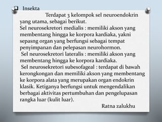  Insekta
Terdapat 3 kelompok sel neuroendokrin
yang utama, sebagai berikut.
Sel neurosekretori medialis : memiliki akson yang
membentang hingga ke korpora kardiaka, yakni
sepasng organ yang berfungsi sebagai tempat
penyimpanan dan pelepasan neurohormon.
Sel neurosekretori lateralis : memiliki akson yang
membentang hingga ke korpora kardiaka.
Sel neurosekretori subesofageal : terdapat di bawah
kerongkongan dan memiliki akson yang membentang
ke korpora alata yang merupakan organ endokrin
klasik. Ketiganya berfungsi untuk mengendalikan
berbagai aktivitas pertumbuhan dan pengelupasan
rangka luar (kulit luar).
Ratna zalukhu
 