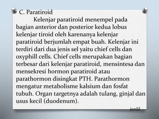 C. Paratiroid
Kelenjar paratiroid menempel pada
bagian anterior dan posterior kedua lobus
kelenjar tiroid oleh karenanya kelenjar
paratiroid berjumlah empat buah. Kelenjar ini
terdiri dari dua jenis sel yaitu chief cells dan
oxyphill cells. Chief cells merupakan bagian
terbesar dari kelenjar paratiroid, mensintesa dan
mensekresi hormon paratiroid atau
parathormon disingkat PTH. Parathormon
mengatur metabolisme kalsium dan fosfat
tubuh. Organ targetnya adalah tulang, ginjal dan
usus kecil (duodenum).
jurdil
 