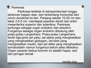 E. Pankreas
Pankreas terletak di retroperiotoneal rongga
abdomen bagian atas, dan terbentang horizontal dari
cincin duodenal ke lien. Panjang sekitar 10-20 cm dan
lebar 2,5-5 cm. mendapat pasokan darah dari arteri
mesenterika superior dan splenikus. Pankreas
berfungsi sebagai organ endokrin dan eksokrin.
Fungsinya sebagai organ endokrin didukung oleh
pulau-pulau Langerhans. Pulau-pulau Langerhans
terdiri tiga jenis sel yaitu; sel alpha yang menghasilkan
yang menghasilkan glukagon, sel beta yang
menghasilkan insulin, dan sel delta yang menghasilkan
somatostatin namun fungsinya belum jelas diketahui.
Organ sasaran kedua hormon ini adalah hepar, otot
dan jaringan lemak
remilia laia
 