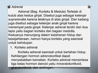 F. Adrenal
Adrenal (Bag. Korteks & Medula) Terletak di
kutub atas kedua ginjal. Disebut juga sebagai kelenjar
suprarenalis karena letaknya di atas ginjal. Dan kadang
juga disebut sebagai kelenjar anak ginjal karena
menempel pada ginjal. Kelenjar adrenal terdiri dari dua
lapis yaitu bagian korteks dan bagian medulla.
Keduanya menunjang dalam ketahanan hidup dan
kesejahteraan, namun hanya korteks yang esensial
untuk kehidupan
1. Korteks adrenal
Korteks adrenal esensial untuk bertahan hidup.
Kehilangan hormon adrenokortikal dapat
menyebabkan kematian. Korteks adrenal mensintesa
tiga kelas hormon steroid yaitu mineralokortikoid,
glukokortikoid, dan androgen.
 