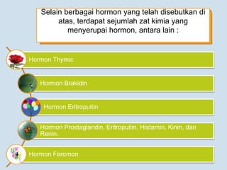 Selain berbagai hormon yang telah disebutkan di
atas, terdapat sejumlah zat kimia yang
menyerupai hormon, antara lain :
Hormon Thymic
Hormon Brakidin
Hormon Eritropuitin
Hormon Prostaglandin, Eritropuitin, Histamin, Kinin, dan
Renin.
Hormon Feromon
 