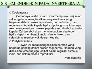 SISTEM ENDROKIN PADA INVERTEBRATA
O Coelenterata
Contohnya ialah Hydra. Hydra mempunyai sejumlah
sel yang dapat menghasilkan senyawa kimia yang
berperan dalam proses reproduksi, pertumbuhan, dan
regenerasi. Apabila kepala hydra dipotong, sisa tubuhnya
akan mengeluarkan molekul peptide yang disebut activator
kepala. Zat tersebut akan memnyebabkan sisa tubuh
hydra dapat membentuk mulut dan tentakel, dan
selanjutnya membenyuk daerah kepala.
O Platyhelminthes
Hewan ini dapat menghasilkan hormon yang
berperan penting dalam proses regenerasi. Hormon yang
dihasilkan tersebut juga terlibat dalam regulasi osmotic,
ionic, dan dalam proses reproduksi.
Ivan lestarina
 