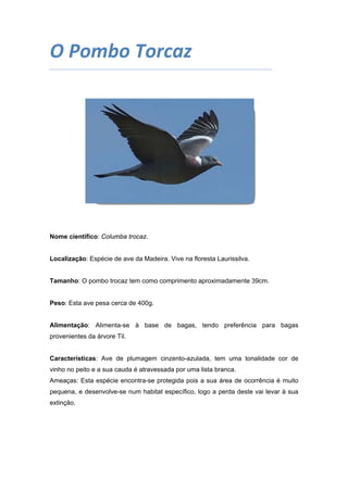 O Pombo Torcaz 
 

Nome científico: Columba trocaz.

Localização: Espécie de ave da Madeira. Vive na floresta Laurissilva.

Tamanho: O pombo trocaz tem como comprimento aproximadamente 39cm.

Peso: Esta ave pesa cerca de 400g.

Alimentação: Alimenta-se à base de bagas, tendo preferência para bagas
provenientes da árvore Til.

Características: Ave de plumagem cinzento-azulada, tem uma tonalidade cor de
vinho no peito e a sua cauda é atravessada por uma lista branca.
Ameaças: Esta espécie encontra-se protegida pois a sua área de ocorrência é muito
pequena, e desenvolve-se num habitat específico, logo a perda deste vai levar à sua
extinção.

 

 