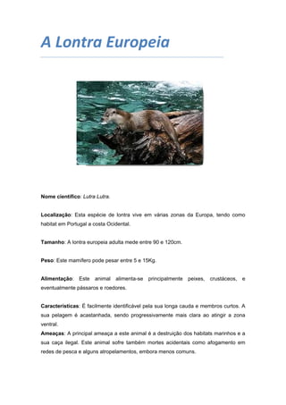 A Lontra Europeia 
 

Nome científico: Lutra Lutra.

Localização: Esta espécie de lontra vive em várias zonas da Europa, tendo como
habitat em Portugal a costa Ocidental.

Tamanho: A lontra europeia adulta mede entre 90 e 120cm.

Peso: Este mamífero pode pesar entre 5 e 15Kg.

Alimentação:

Este

animal

alimenta-se

principalmente

peixes, crustáceos, e

eventualmente pássaros e roedores.

Características: É facilmente identificável pela sua longa cauda e membros curtos. A
sua pelagem é acastanhada, sendo progressivamente mais clara ao atingir a zona
ventral.
Ameaças: A principal ameaça a este animal é a destruição dos habitats marinhos e a
sua caça ilegal. Este animal sofre também mortes acidentais como afogamento em
redes de pesca e alguns atropelamentos, embora menos comuns.

 
