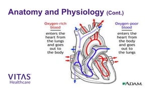 End Stage Heart Disease | VITAS Healthcare | PPTX