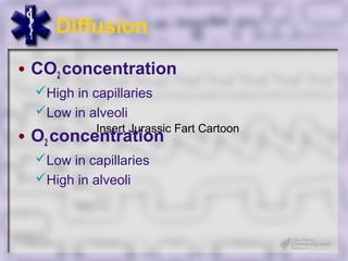 Diffusion

• CO2 concentration
  High in capillaries
  Low in alveoli
            Insert Jurassic Fart Cartoon
• O2 concentration
  Low in capillaries
  High in alveoli
 
