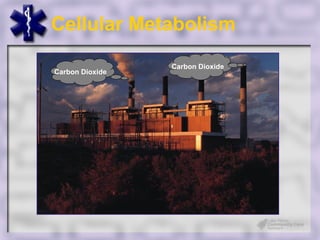 Cellular Metabolism
                 Carbon Dioxide
Carbon Dioxide
 