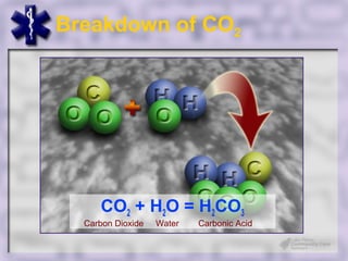 Breakdown of CO2




     CO2 + H2O = H2CO3
  Carbon Dioxide   Water   Carbonic Acid
 